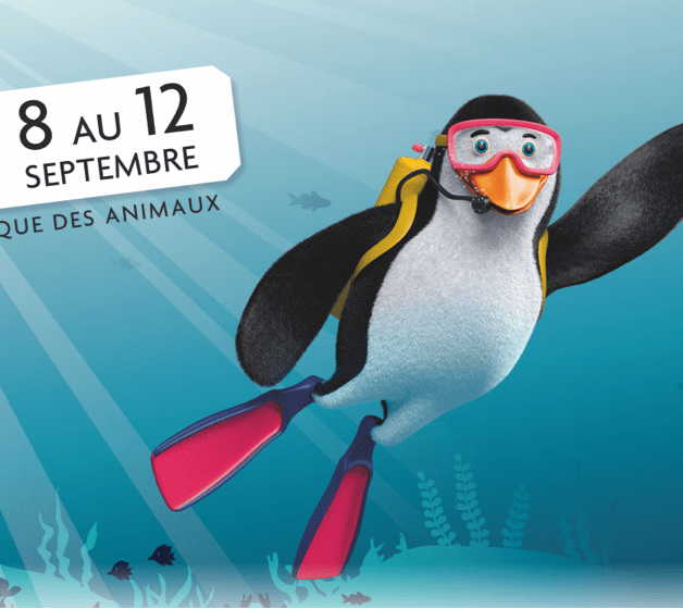 Capture d’écran (10)